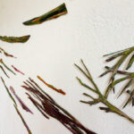 Wandarbeit, Neuer Kunstverein Aschaffenburg, 2023, Detailansicht