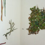 Wandarbeit, Neuer Kunstverein Aschaffenburg, 2023, Detailansicht